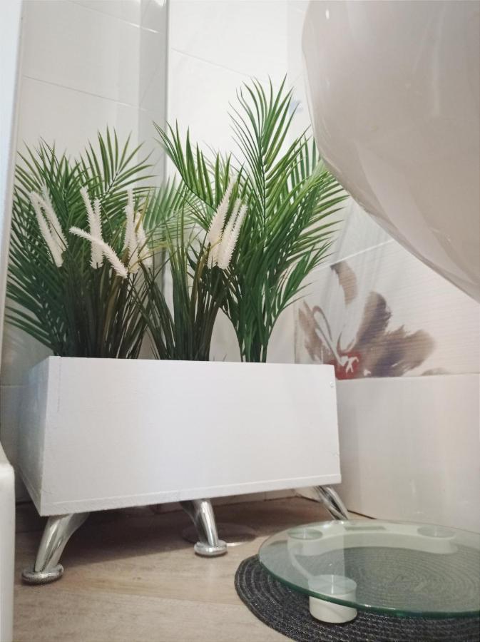 Bed and Breakfast Domus Pio XI Рим Экстерьер фото